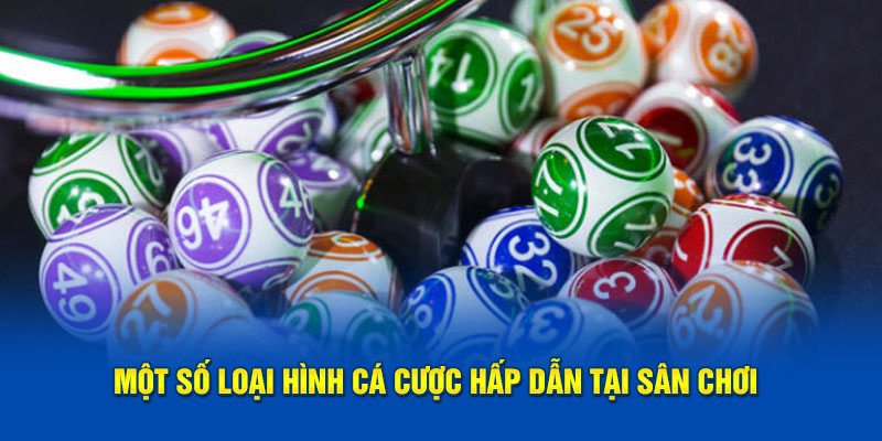 Một số loại hình cá cược hấp dẫn tại Kubet